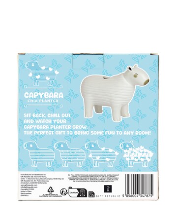Capybara Chia Planter