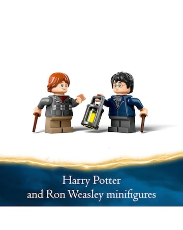 LEGO Harry Potter Aragog in the Forbidden Forest 76434