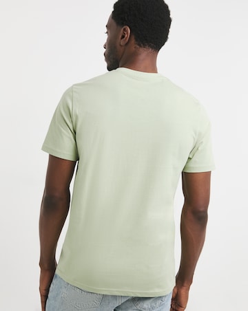 5 Pack Multi V Neck T-Shirts