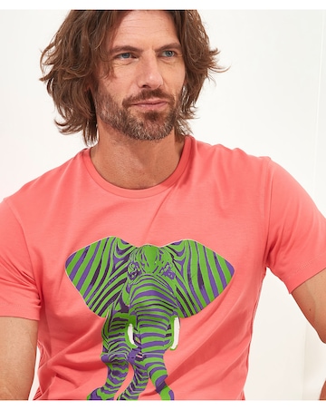 Joe Browns Superb Stripe Elephant Tee Long Length