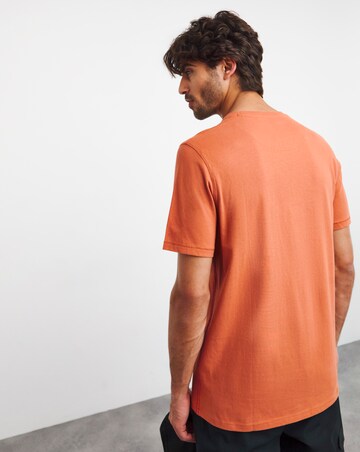 Joe Browns 3 Pack Long Length T-Shirts