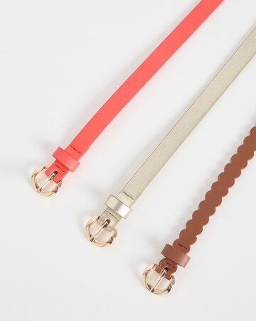 Multi 3 Pack Belts
