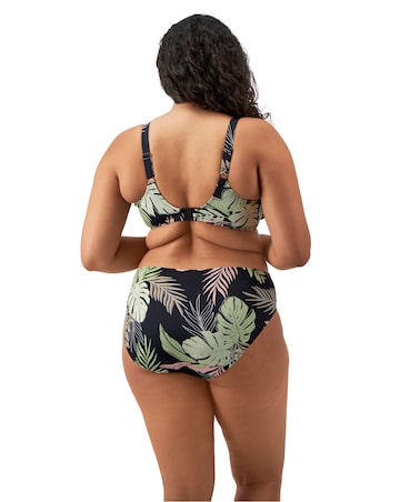 Elomi Tropical Retreat Mid Rise Bikini Brief Black