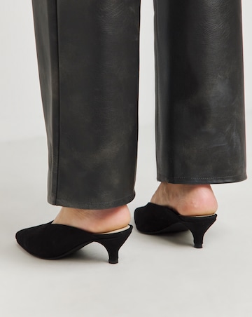 Anthology Allure Suede Mule Kitten Heel Shoes - Standard Fit (D)