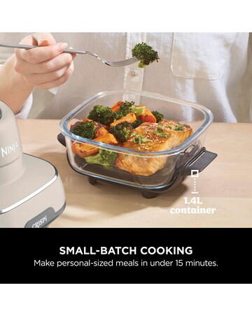 Ninja Crispi 4-in-1 Portable Air Fryer - Stone