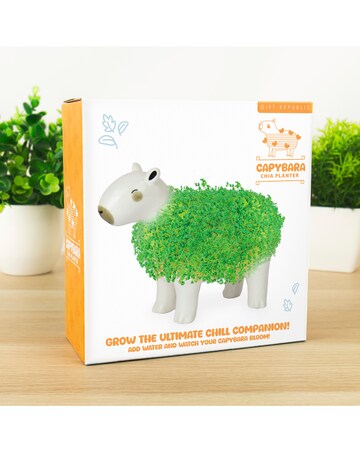 Capybara Chia Planter