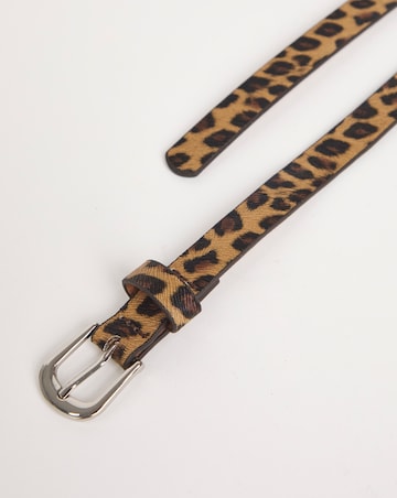 Multi 3 Pack Belts