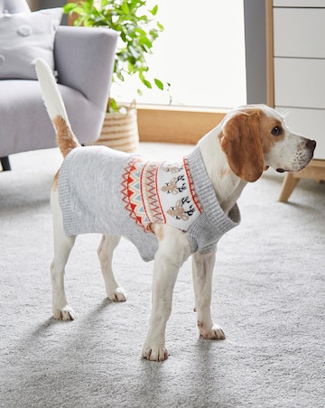 Novelty Reindeer Fairisle Dog Jumper