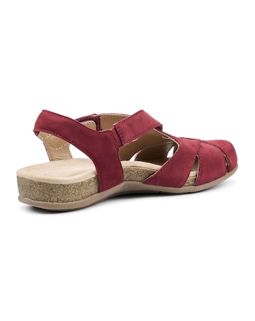 Hotter Catskill II Sandal